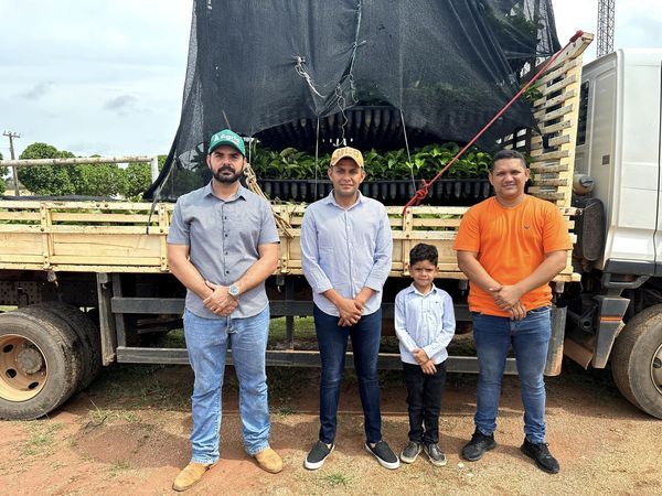 Prefeitura começa distribuir café clonal para produtores de Candeias do Jamari