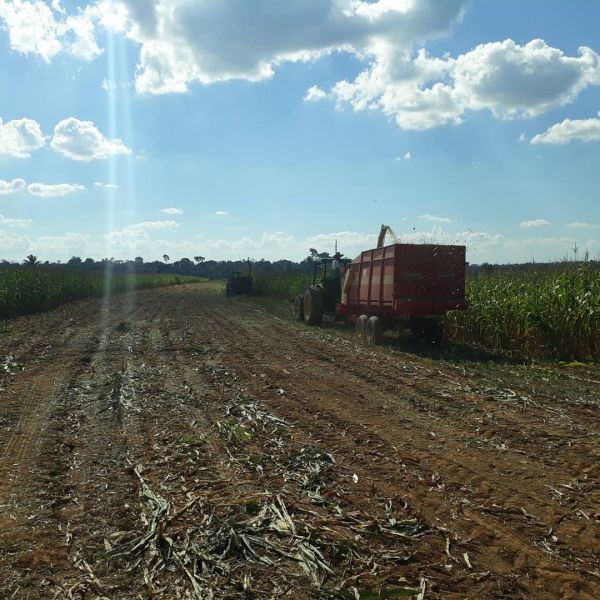 Secretário de Agricultura cumpre agenda no Distrito de Triunfo