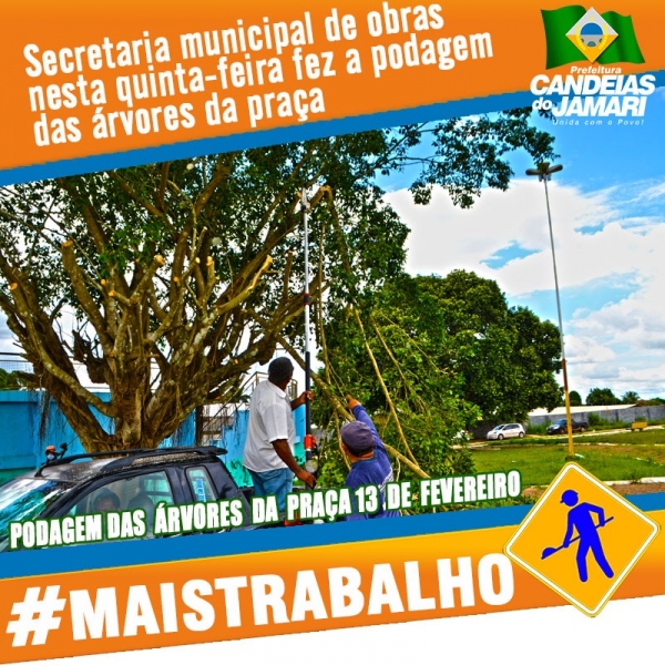 Servidores da Secretaria de Obras realizam limpeza e poda de árvores