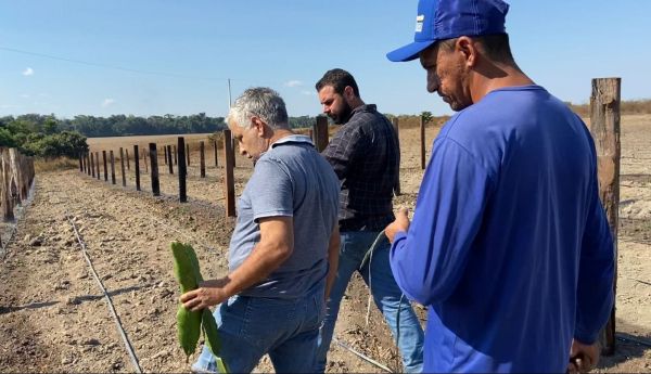 SEMAM presta serviços no preparo da terra para produtores de pitaya