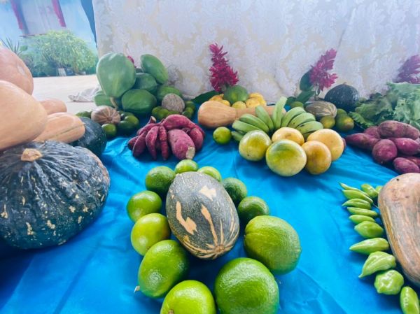 PAA Municipal | Semagri inicia entrega de alimentos